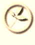 A cserje